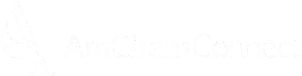 AmCham Connect